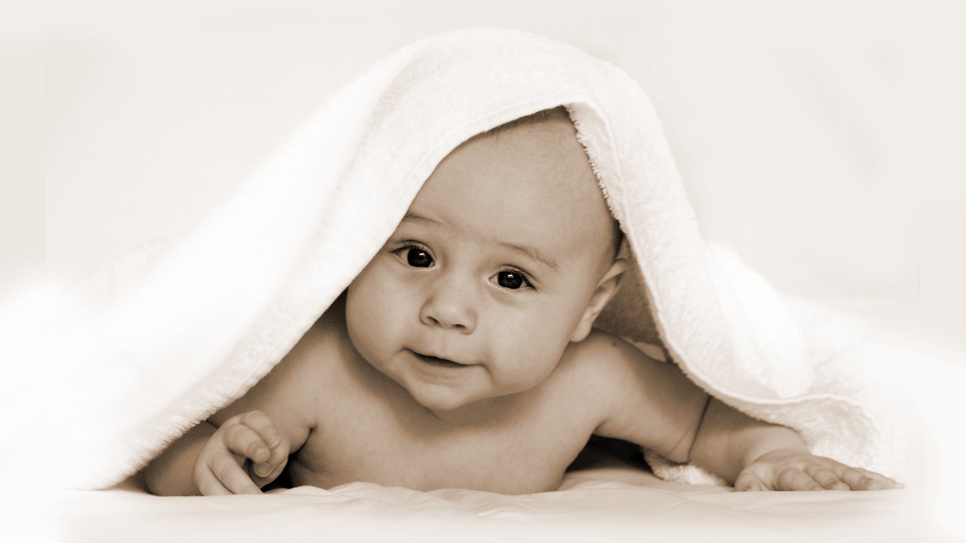 供卵代生试管婴儿长方案成功率
